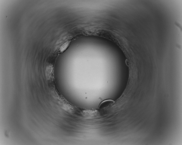 X0000101700480200807101541