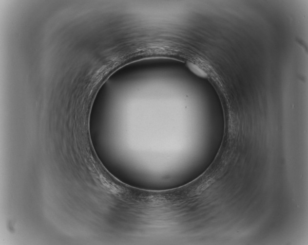 X0000101700481200807101540