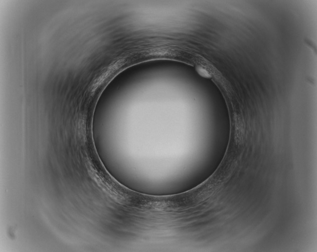 X0000101700482200807101540