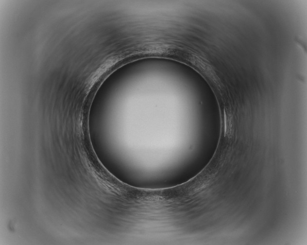 X0000101700483200807101540