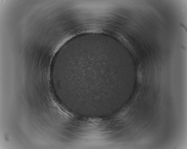 X0000101700484200807101540