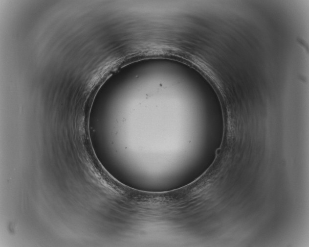 X0000101700485200807101540