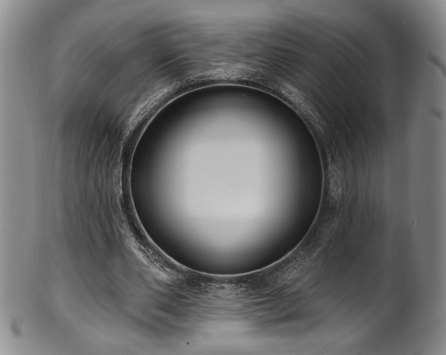 X0000101700486200807101540