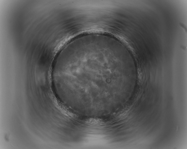 X0000101700487200807101540