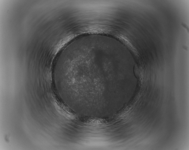 X0000101700488200807101540