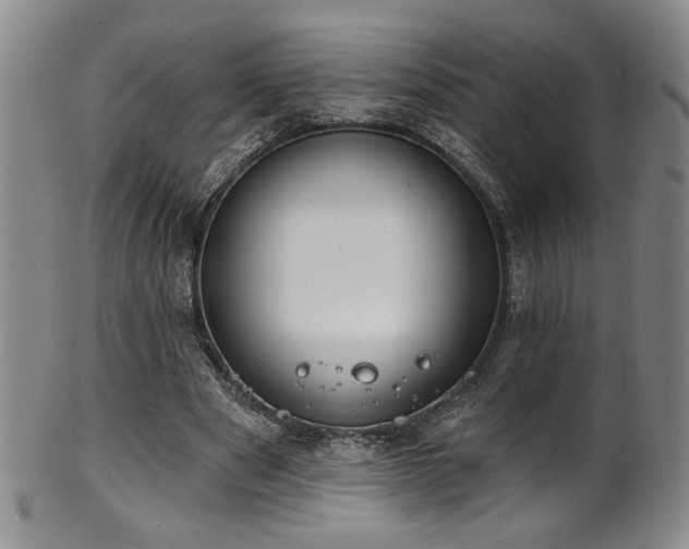 X0000101700489200807101540