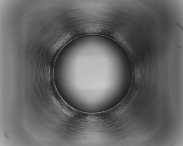 X0000101700490200807101540