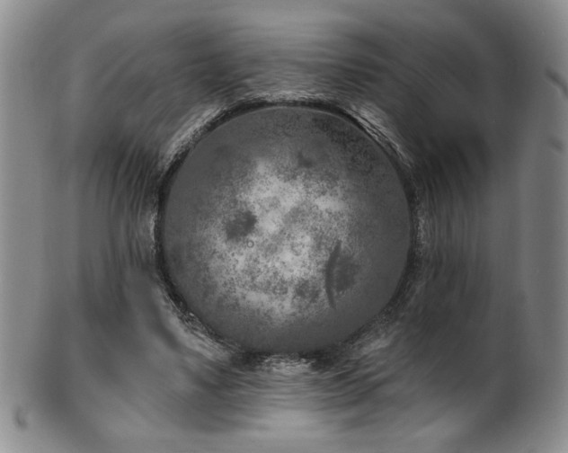 X0000101700491200807101540