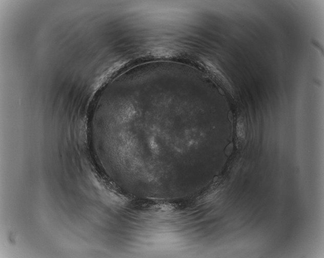 X0000101700492200807101540