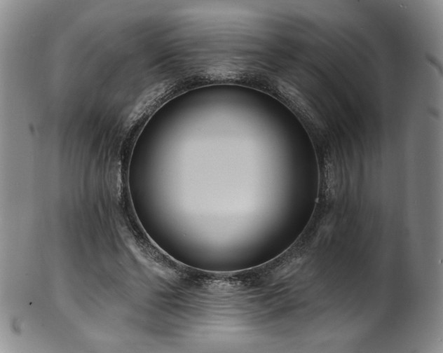 X0000101700494200807101540
