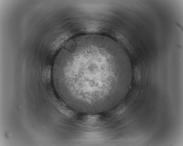 X0000101700495200807101540