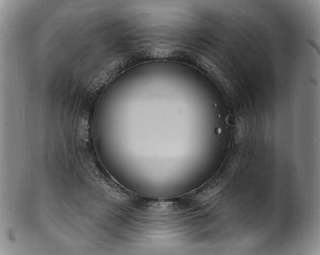 X0000101700497200807101540
