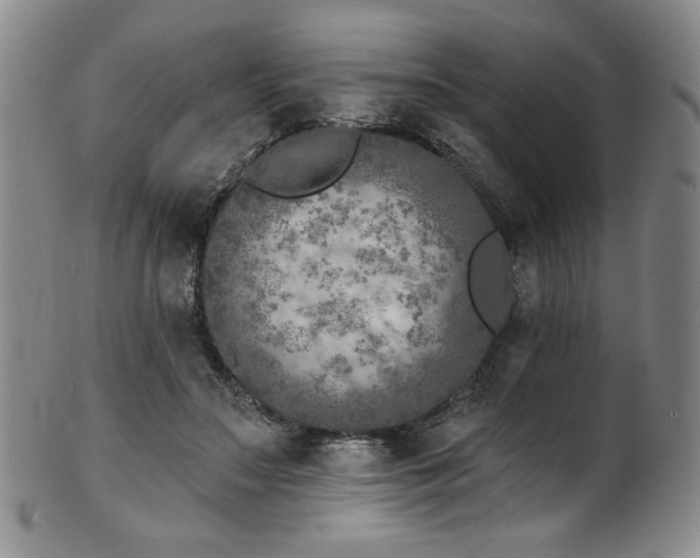 X0000101700499200807101540