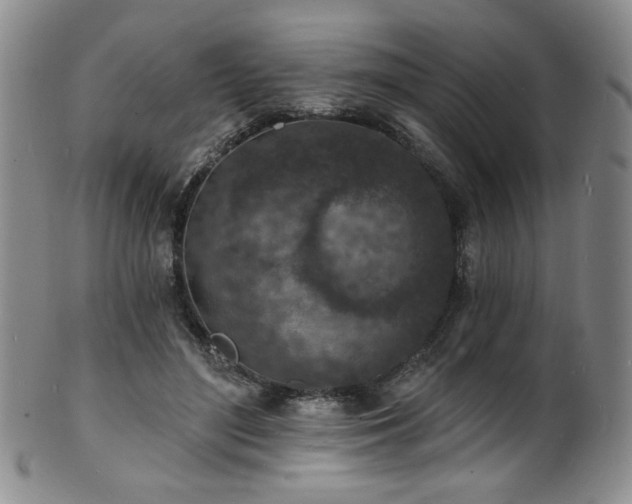 X0000101700500200807101540