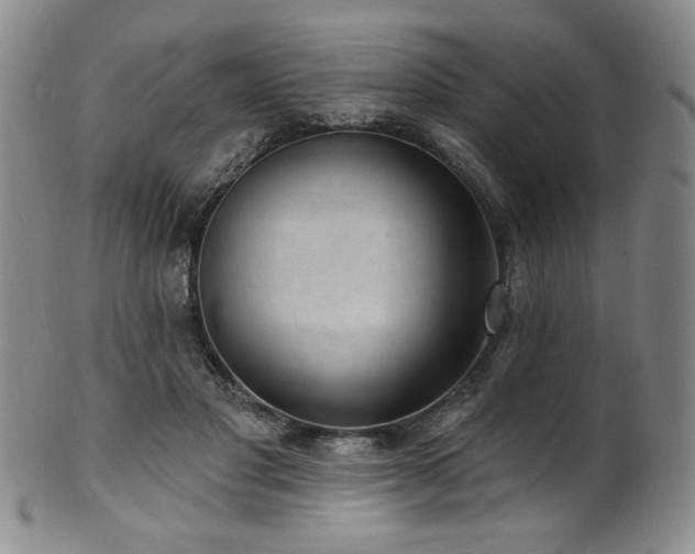 X0000101700501200807101540