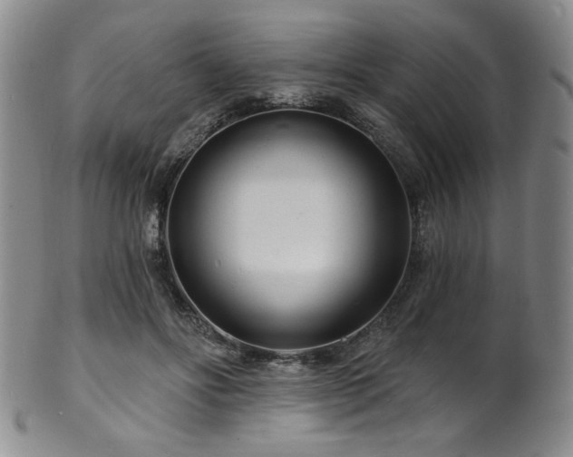 X0000101700502200807101540