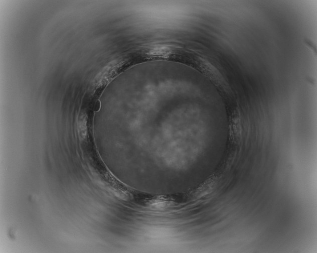 X0000101700504200807101540