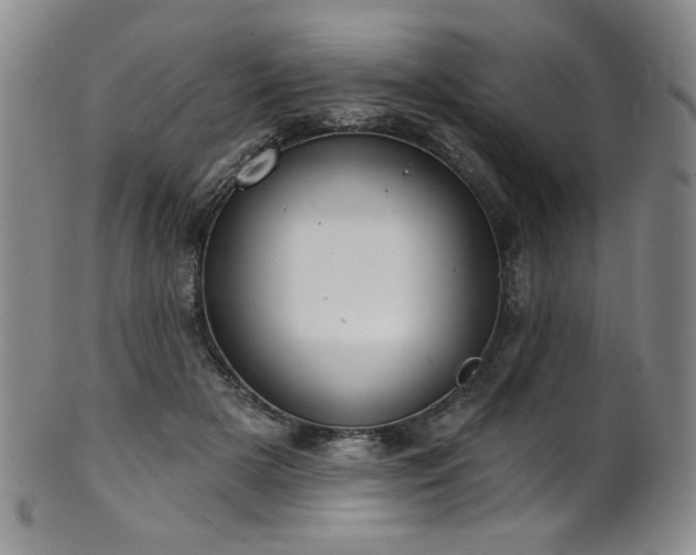 X0000101700505200807101540