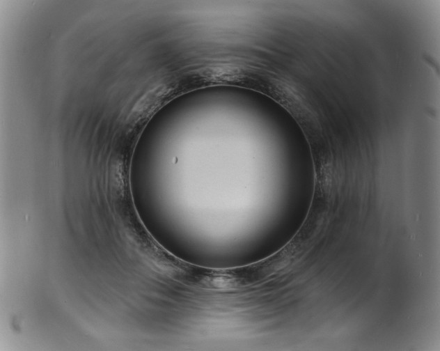 X0000101700506200807101540