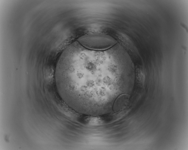 X0000101700507200807101540