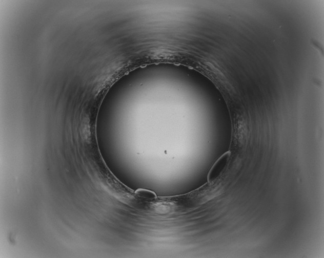 X0000101700508200807101540