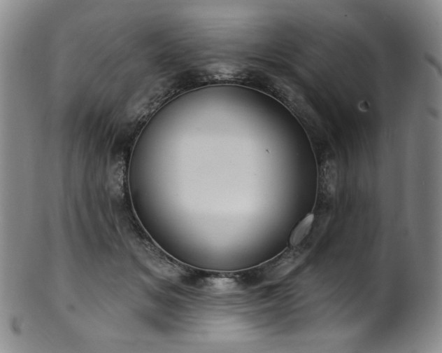 X0000101700509200807101540
