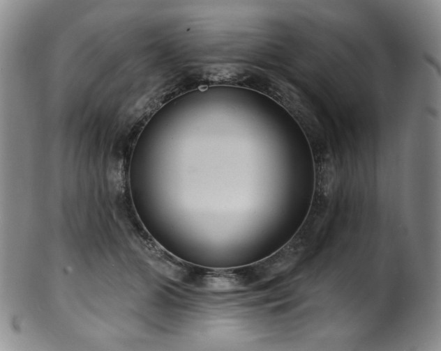 X0000101700510200807101540