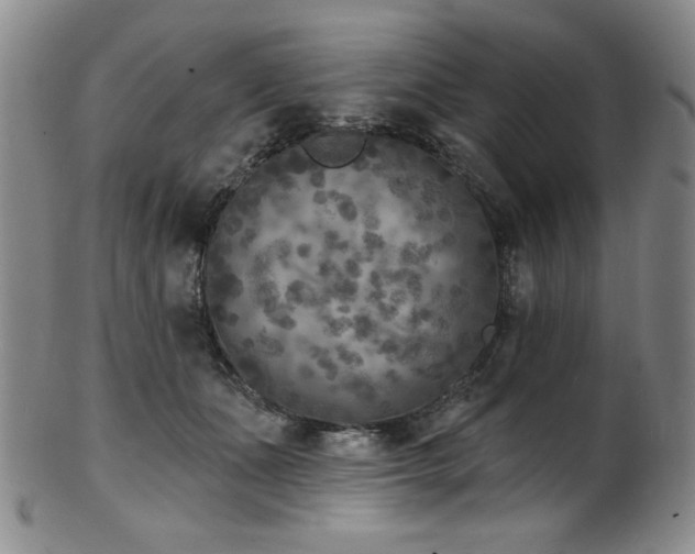 X0000101700511200807101540