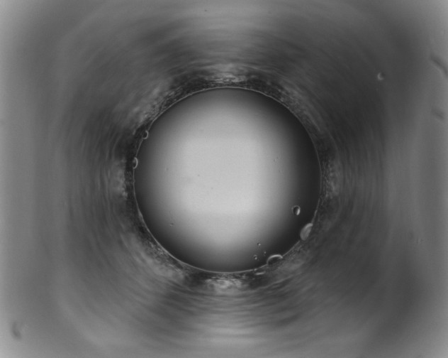 X0000101700512200807101540