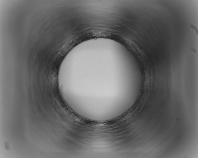 X0000101700513200807101540