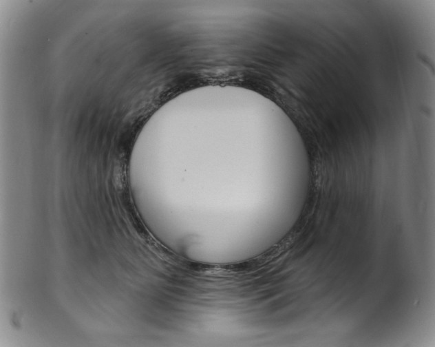 X0000101700515200807101540