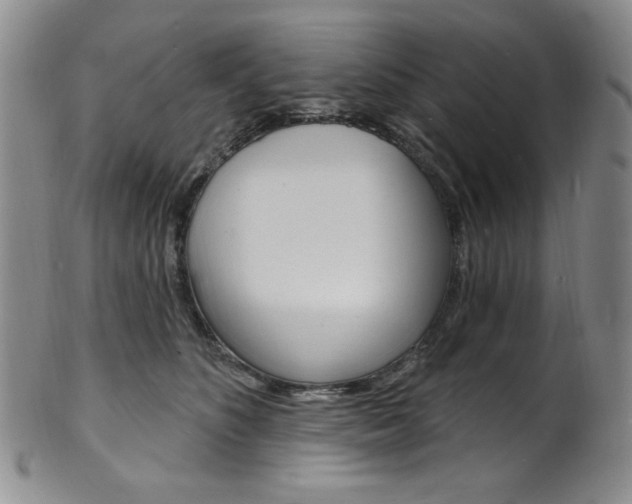 X0000101700516200807101540
