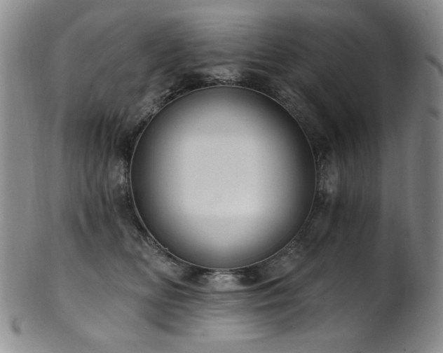 X0000101700518200807101540