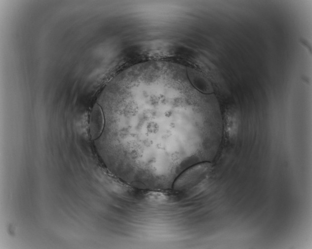 X0000101700519200807101540