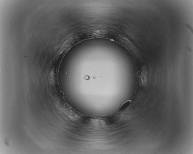 X0000101700520200807101540