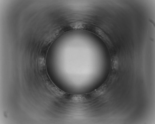 X0000101700521200807101540