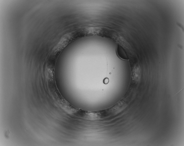 X0000101700522200807101540