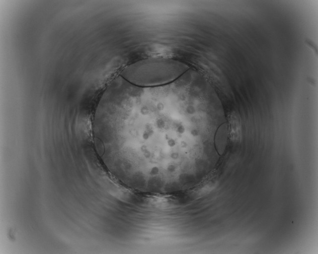 X0000101700523200807101540