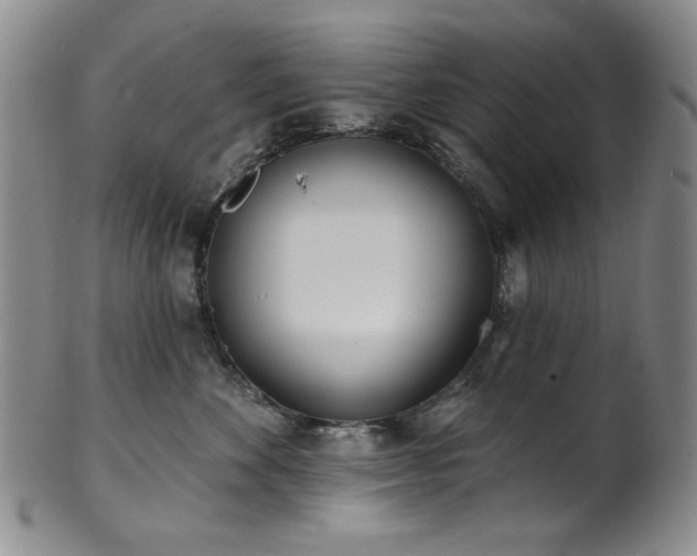 X0000101700524200807101540