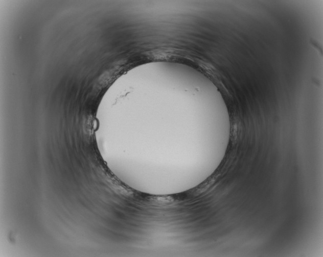 X0000101700525200807101540