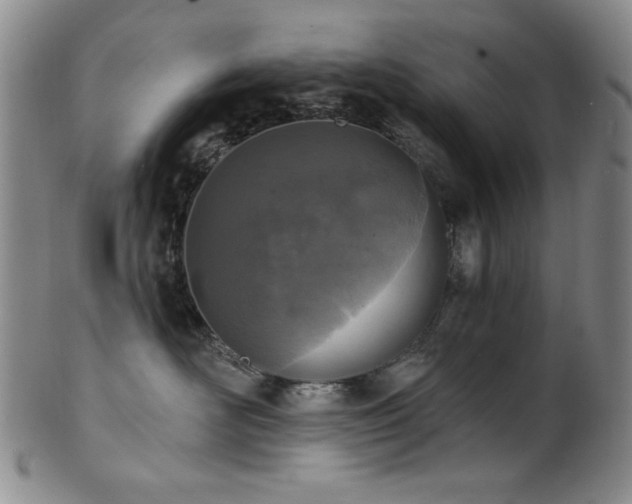 X0000101700526200807101540