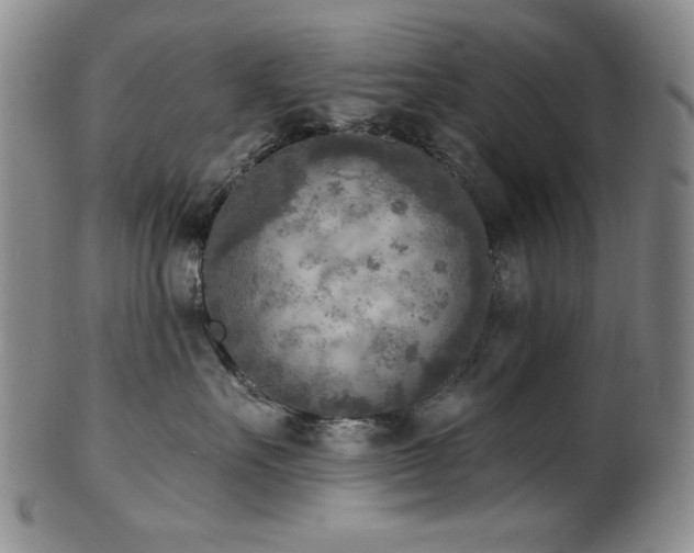 X0000101700527200807101540