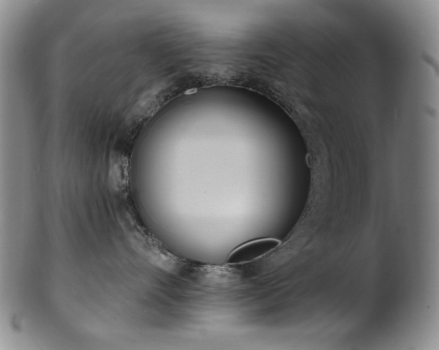 X0000101700528200807101540