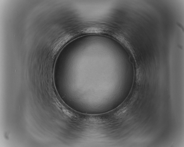 X0000101700529200807101539