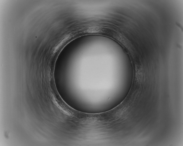 X0000101700530200807101539