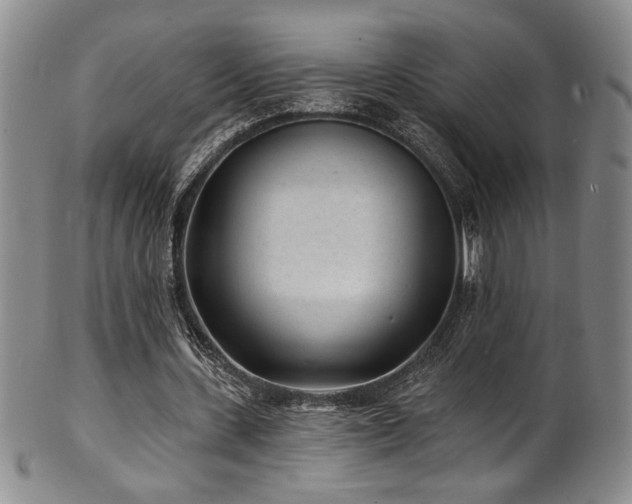 X0000101700531200807101539