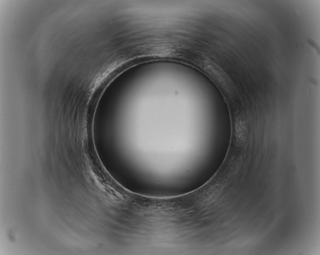 X0000101700532200807101539