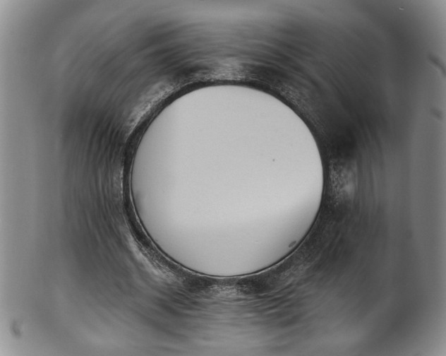 X0000101700534200807101539