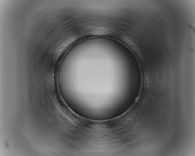 X0000101700535200807101539