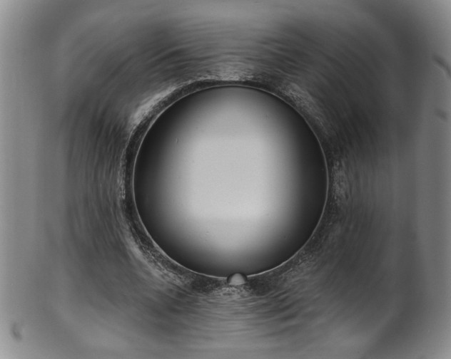 X0000101700536200807101539